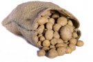 Krumpli válogatás és csomagolás  Németországban 1500 euro