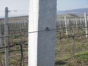 Szőlőoszlop szőlőkaró kerítés oszlop drótfonat drótháló vadháló